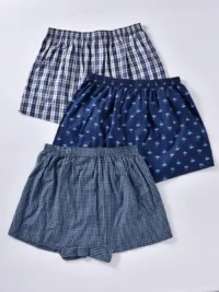 Men 3pcs Plaid & Palm Tree Print Boxer Brief