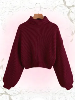 Turtleneck Long Sleeve Sweater, School,Long Sleeve Tops